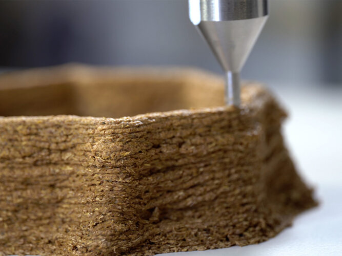 3D-Druck der biobasierten Paste 