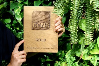DGNB-Zertifikat für biodiversitätsfördernde Außenräume, hochgehalten von zwei Händen, Farnpflanzen im Hintergrund