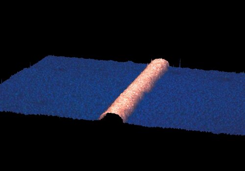 Dreidimensionales Konfokalmikroskopbild einer Kupferleiterbahn: gleichmäßige halbrunde Form der Leiterbahn