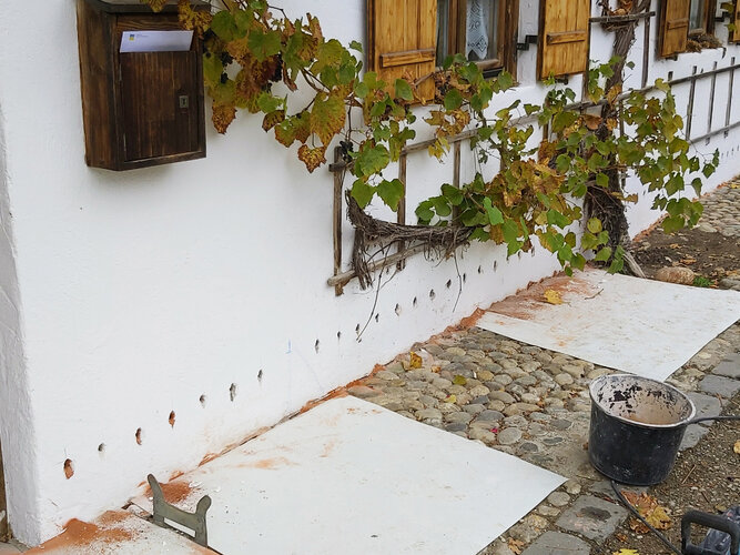 Eindachhof mit Sprossenfenstern, hölzernen Fensterläden und dem Wein, der sich am Haus entlangrankt;am Sockel vorbereitete Löcher für Horizontalsperre als Feuchteschutz