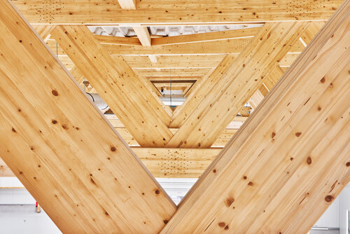 Tragwerkkonstruktion einer Halle aus Holz