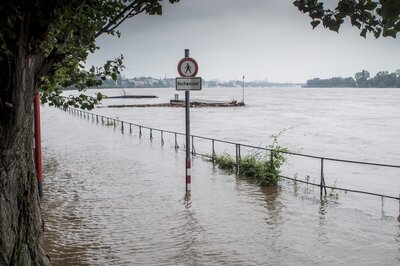 Uferpromenade eines Flusses in Deutschland steht unter Wasser, ein Schild "Hochwasser" im Zentrum des Bildes
