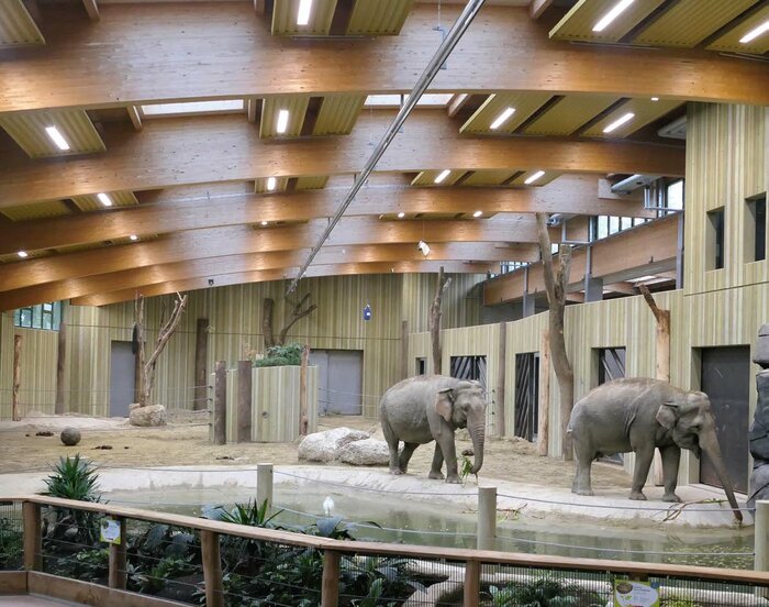 Eine Erweiterung der alten und zu kleinen Elefanten-Anlage im Augsburger Zoo hat zur bislang größten Baumaßnahme auf dem Zoo-Gelände geführt.