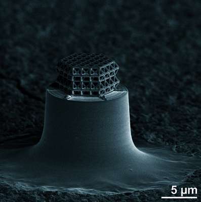 Erst unter dem Mikroskop kann man das weltweit kleinste Fachwerk erkennen, dessen Strebendurchmesser 0,2 und die Gesamtgröße rund 10 Mikrometer betragen.
