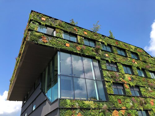 Nachhaltigkeit am Gebäude durch begrünte Fassade
