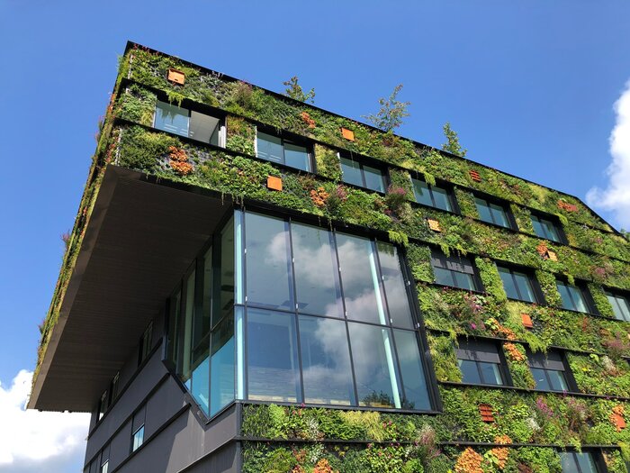Nachhaltigkeit am Gebäude durch begrünte Fassade