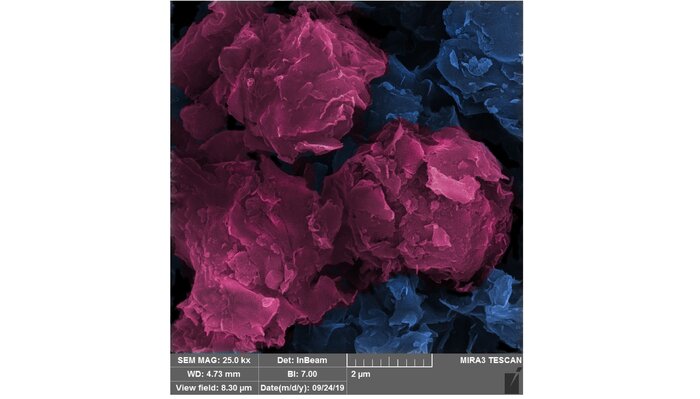Unterm Rasterelektronenmikroskop: Ansammlung von Ton-Nanopartikeln bildet Struktur in Form einer Rosenknospe