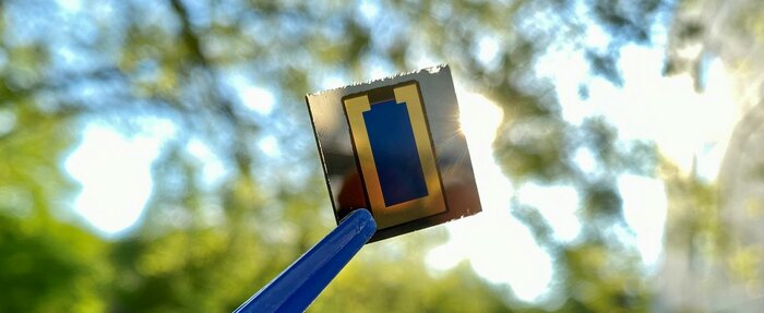 Perowskit/CIS-Tandem-Solarzellen gehalten mit einer Pinzette