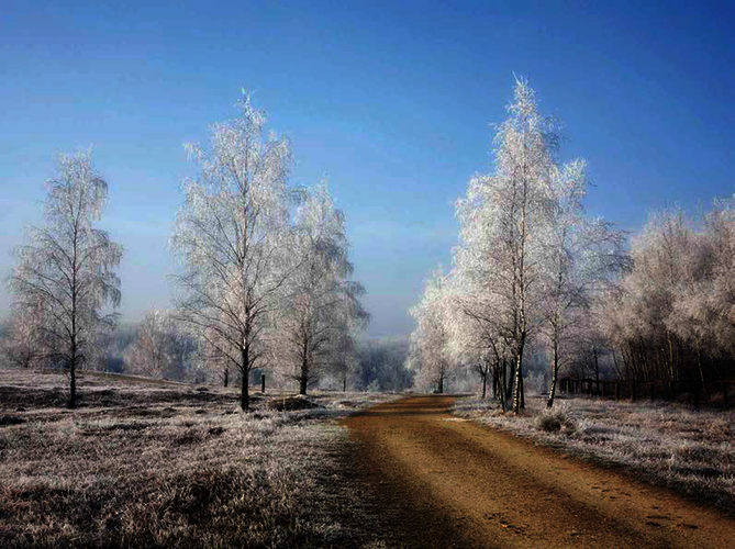 Ein besonderes Erlebnis: Im Winter ist die Heidelandschaft idealer Ort für lange einsame Spaziergänge.