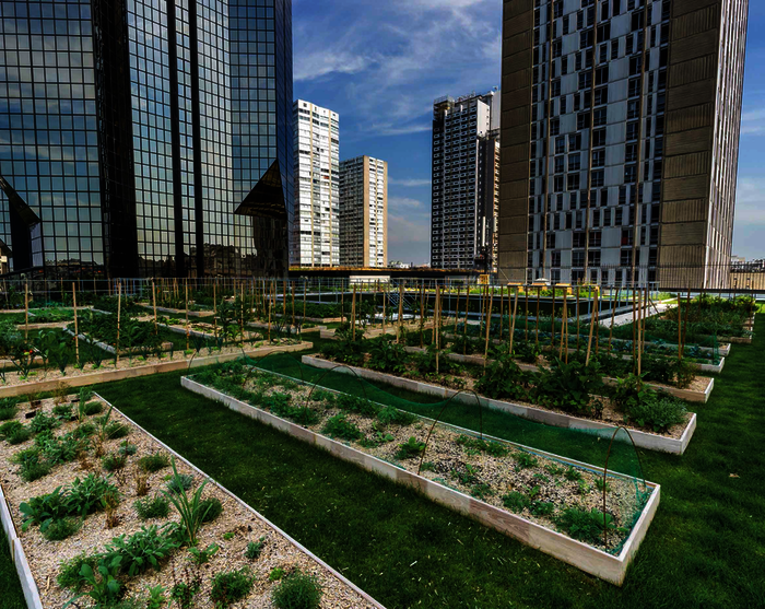 Der Urban-Farming-Dachgarten der Kochschule „Le Cordon Bleu“ ist mit 1011 m² einer der größten in Paris.