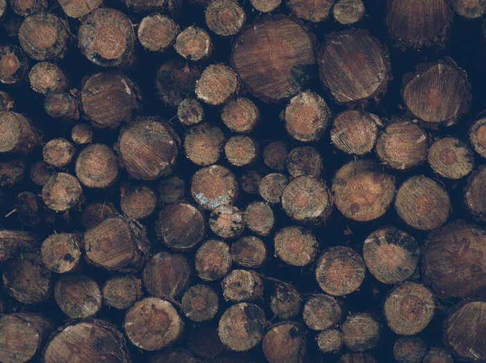 Holz.jpg